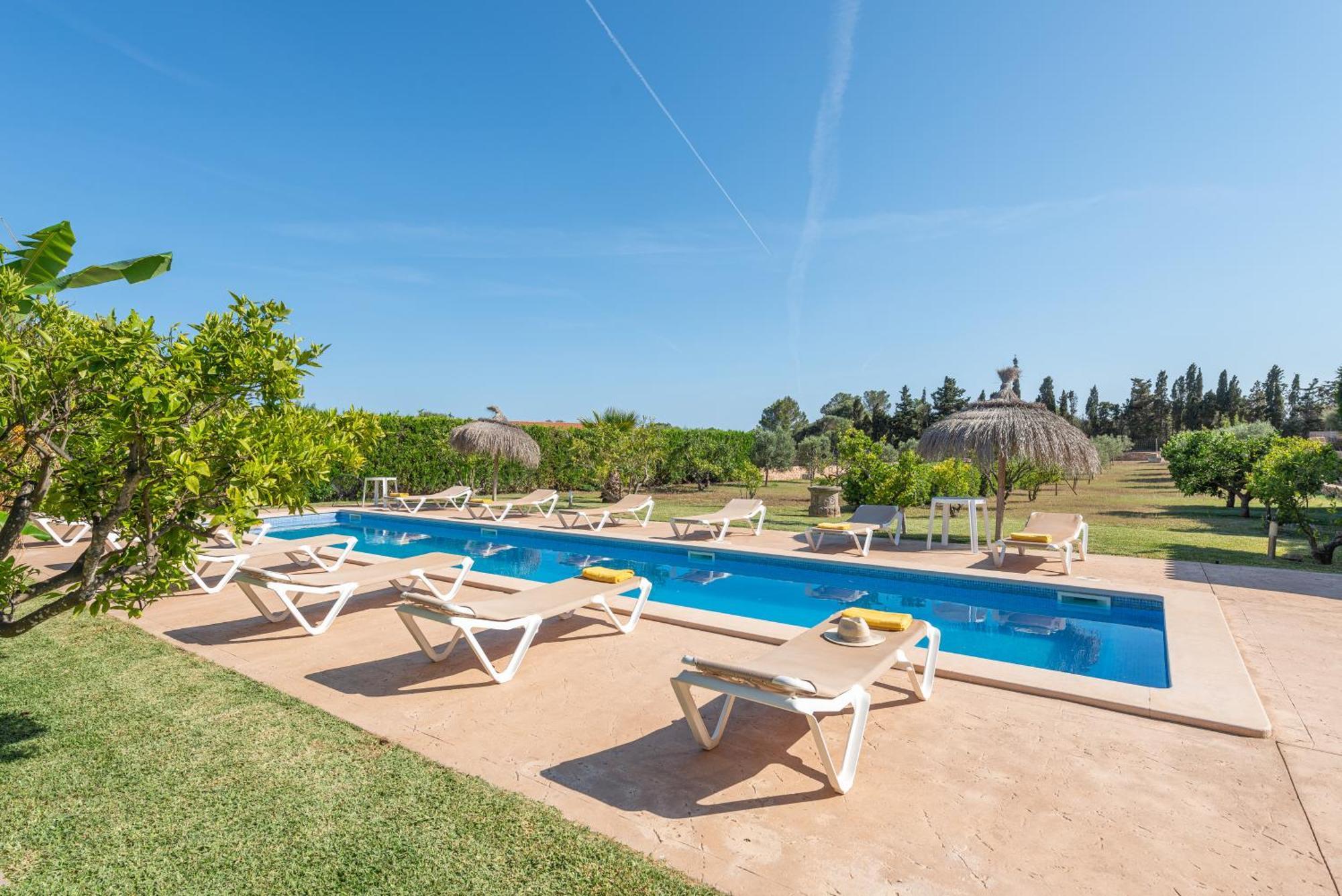 Preciosa Amer En La Costa De Mallorca