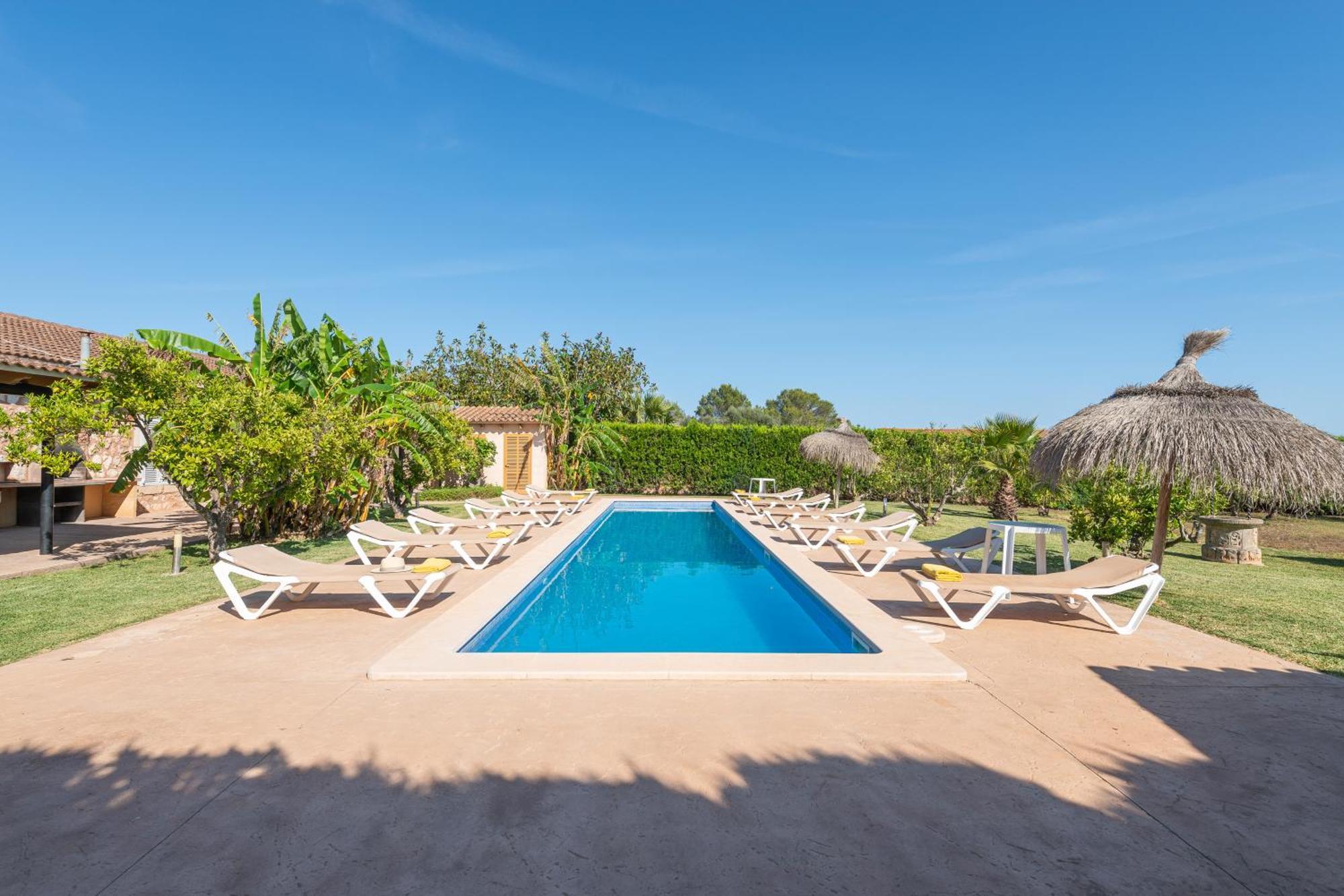 Preciosa Amer En La Costa De Mallorca S'Illot (Mallorca)